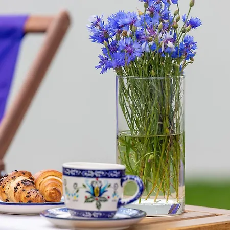 Modrak スヲーネガシエ